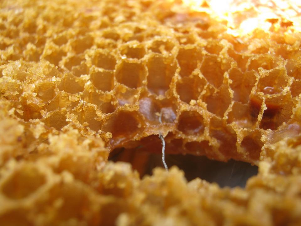 cire abeille The Soap Lab