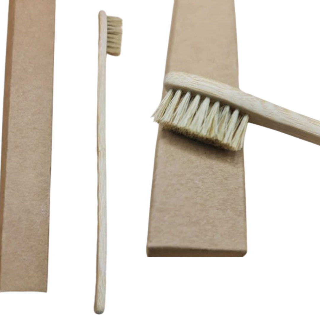 brosse à dents biodegradable